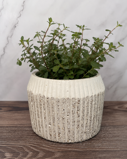 Hemp & Coconut Fibre Rib Pot